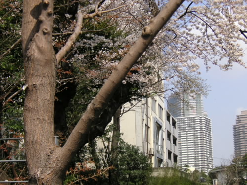 目黒から恵比寿まで_c0048132_11403349.jpg