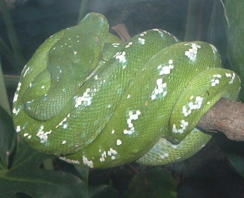 f0037434_3151169.jpg