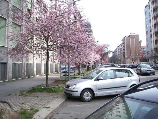 f0054445_7372987.jpg