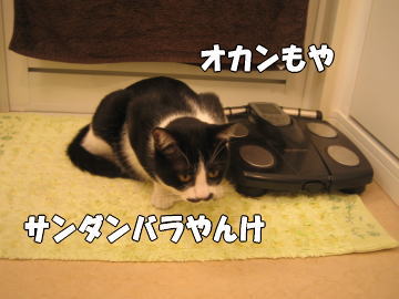 b0041182_04088.jpg