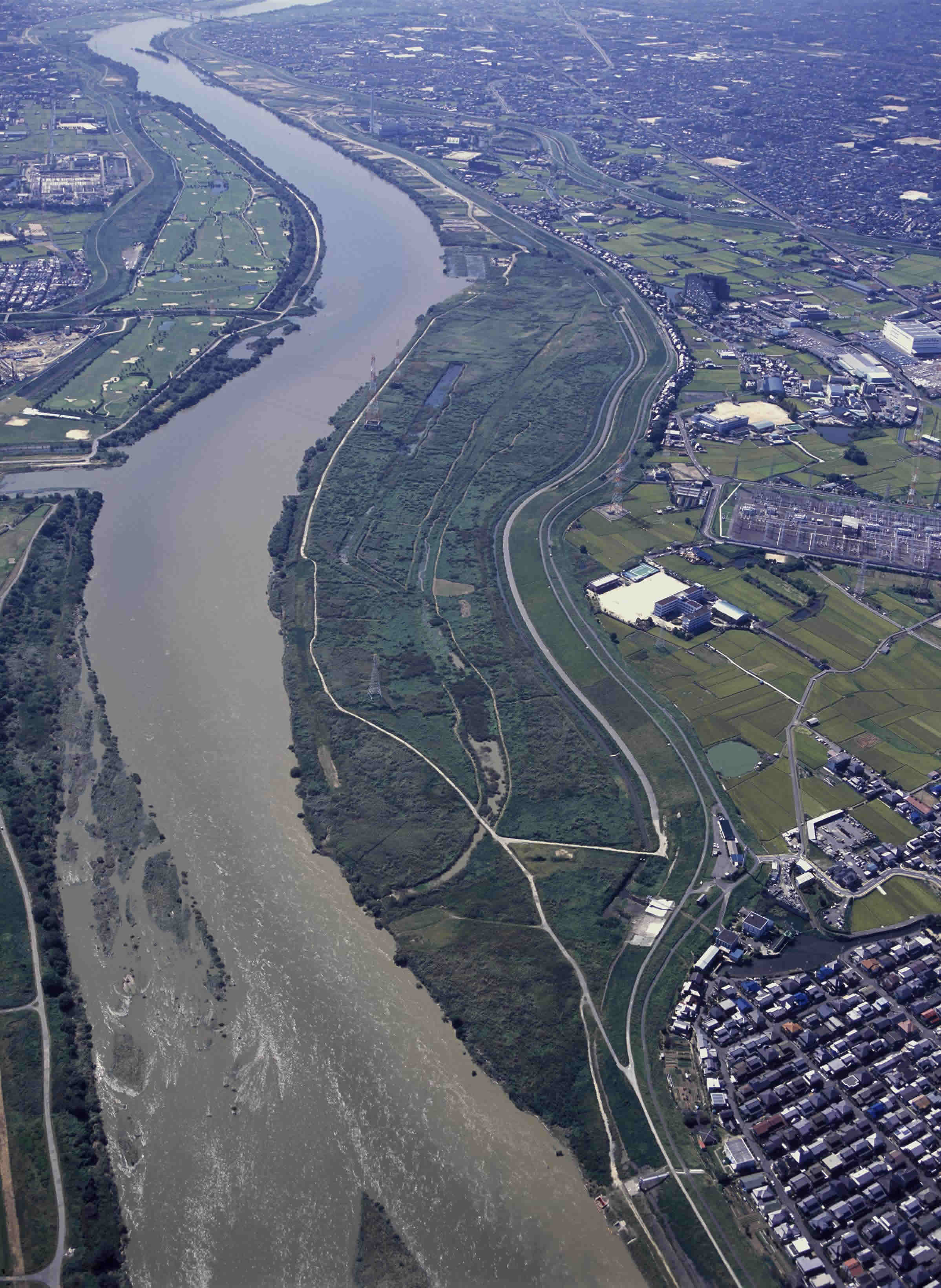 鵜殿のヨシ原 夢・水辺を創る