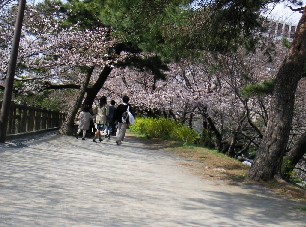 f0052384_17154919.jpg