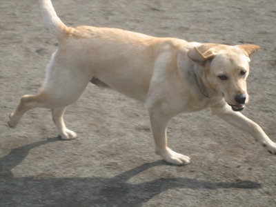 f0049685_11124867.jpg