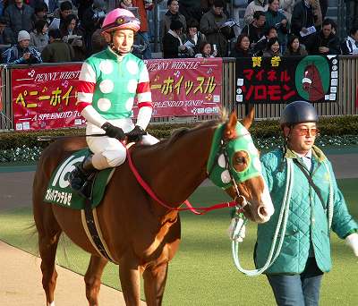 俺も待ってたぜ 高松宮記念は オレハマッテルゼが初重賞制覇をｇｉで飾る 愛しのサラブレッド写真館