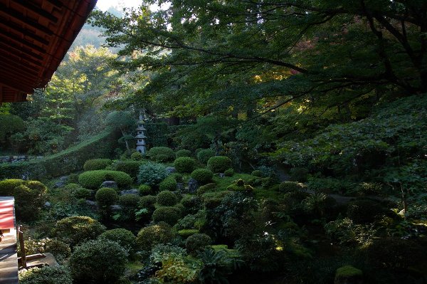 三千院_e0051888_12563240.jpg