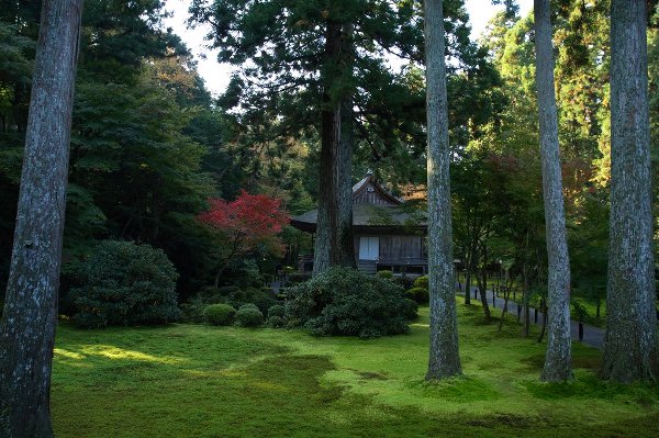三千院_e0051888_12563823.jpg