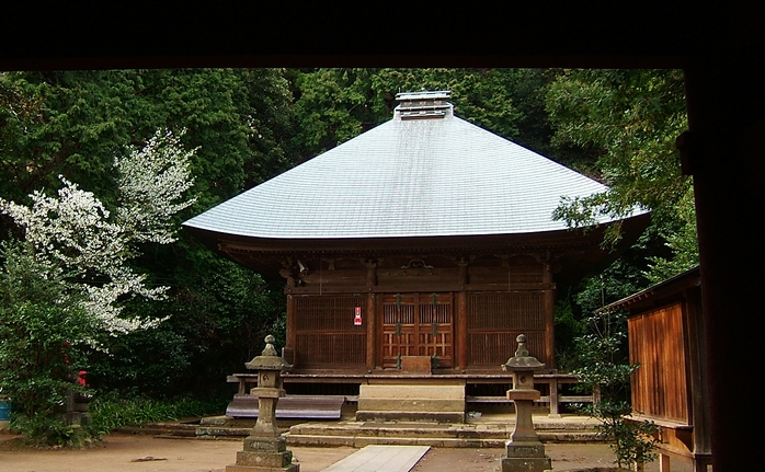 神武寺の桜_f0068788_1911570.jpg