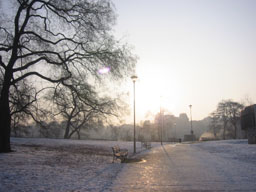 page t-34       　　into Snow  6_a0028990_22333393.jpg