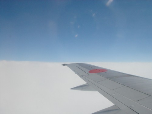 f0020302_1321742.jpg