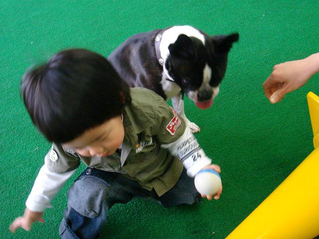 b0027203_04685.jpg