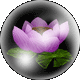 f0050105_22134363.gif