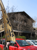 d0014408_1115240.gif