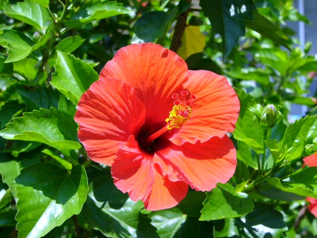 落ノ浦_a0042310_14505138.jpg