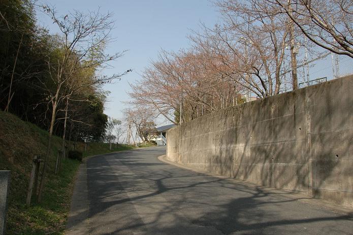 太宰府中学校_a0042310_8221191.jpg