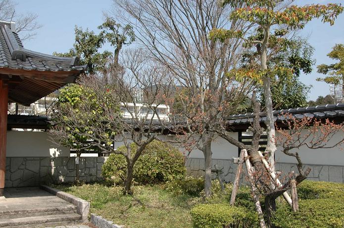 学業院中学校 (太宰府市)_a0042310_8525951.jpg