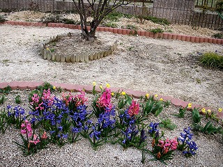e0072023_20143325.jpg