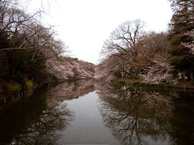 e0046128_16124248.jpg