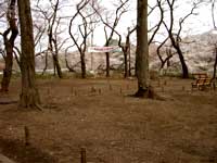 e0046128_1621397.jpg
