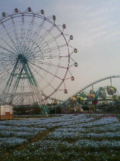 f0057634_21418.jpg