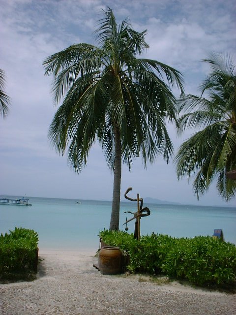 b0018957_116251.jpg