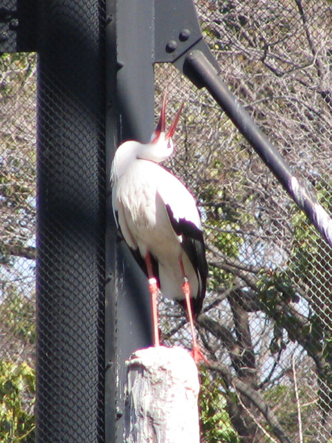 e0068257_8103089.jpg
