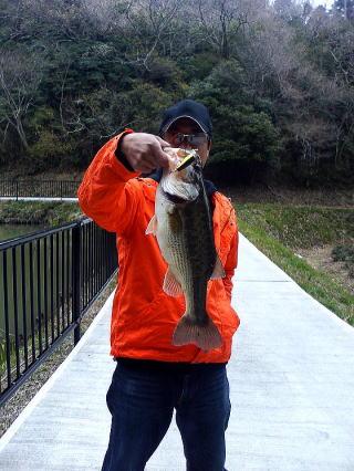 釣れているようですが・・・・_a0040876_023770.jpg