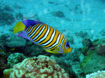 a0002177_01186.jpg