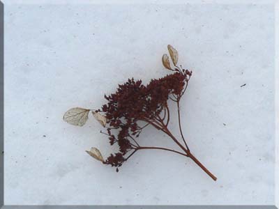 f0083977_22501434.jpg