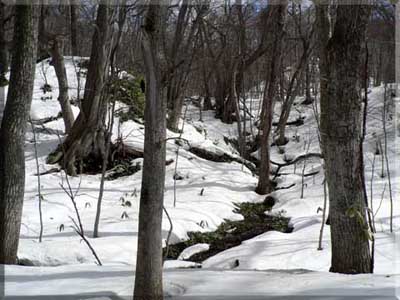 f0083977_235011.jpg