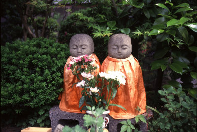 <第三十番 圓通山 観音禅寺>_a0045381_2261239.jpg