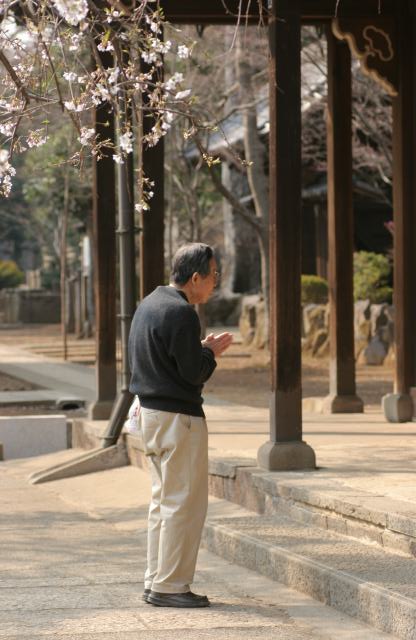 豪徳寺２００６春その２_d0016584_0302330.jpg