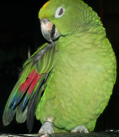 f0015287_02903.jpg