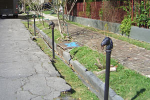 d0000995_12304426.jpg