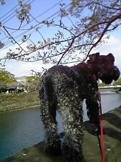 c0037701_033591.jpg