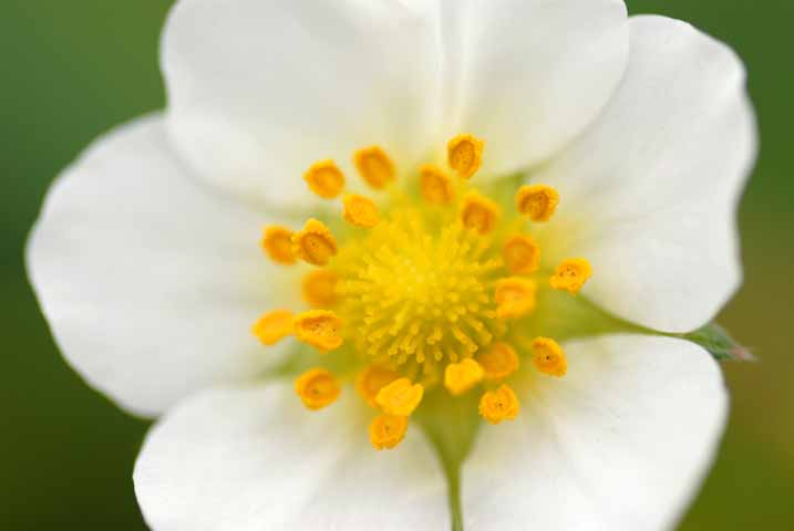f0050202_1223968.jpg