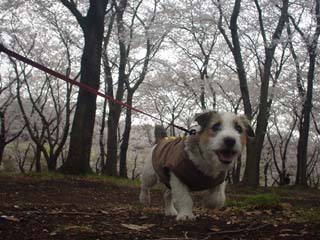 f0080105_22415274.jpg