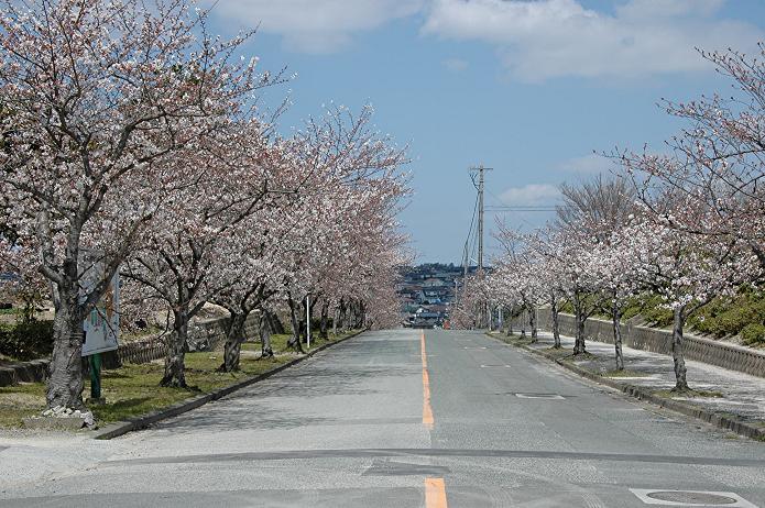 県立 福岡農業高等学校_a0042310_22233039.jpg