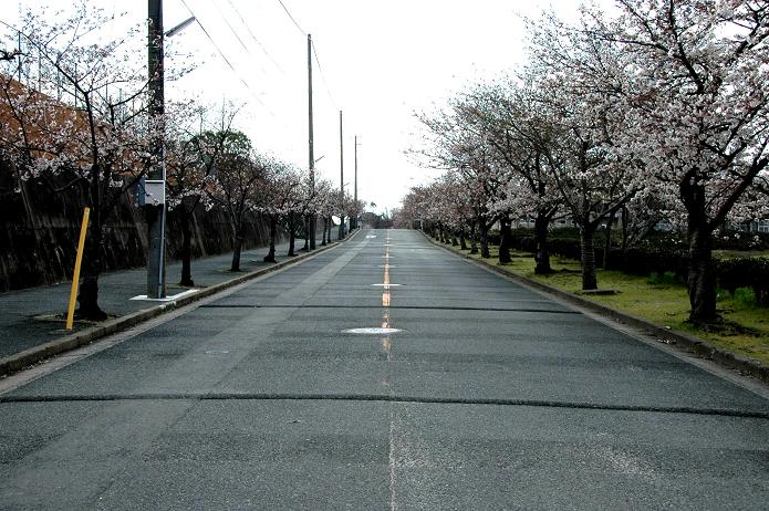 県立 福岡農業高等学校_a0042310_2253384.jpg