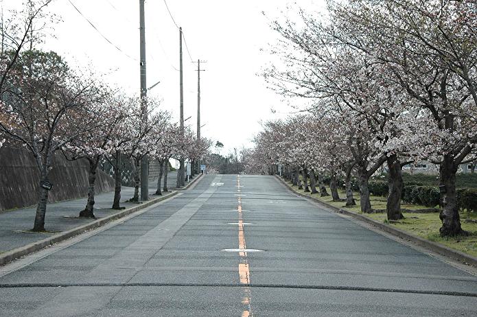 県立 福岡農業高等学校_a0042310_2255257.jpg
