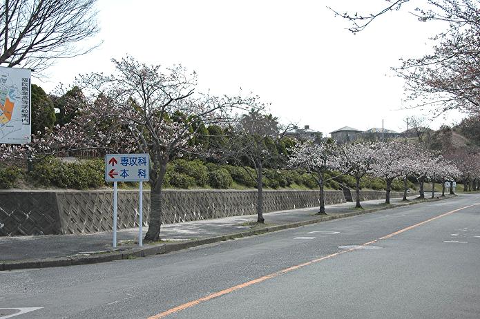 県立 福岡農業高等学校_a0042310_226594.jpg