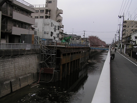 花より団子か、団子より花か_b0067012_1948100.jpg