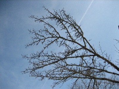f0097620_0201956.jpg