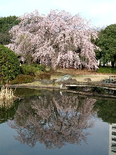 f0035927_1056171.jpg