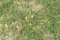 f0038336_8341317.jpg