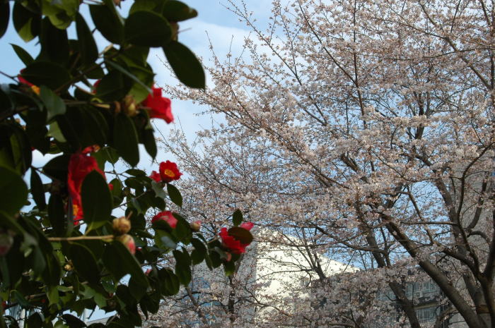 e0095142_63023.jpg