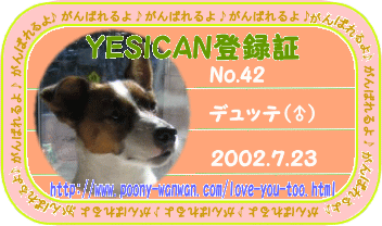f0013255_11455531.gif