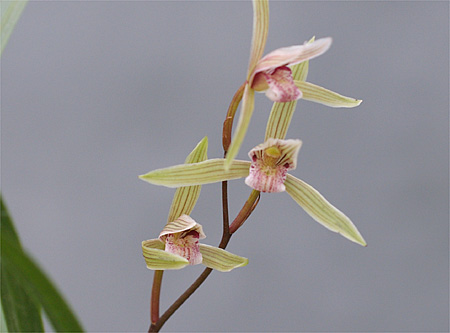 c0068168_945911.jpg