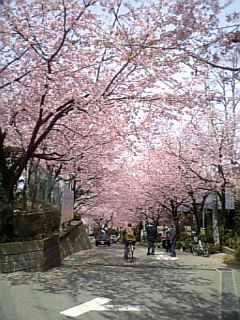 f0004870_11574898.gif
