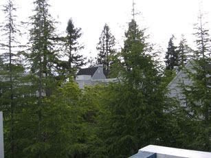 d0027474_23392459.jpg