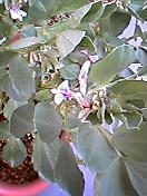 f0007079_16132546.jpg